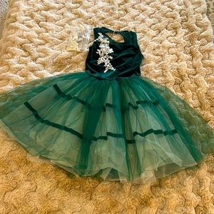Green Velvet Ballet Costume
